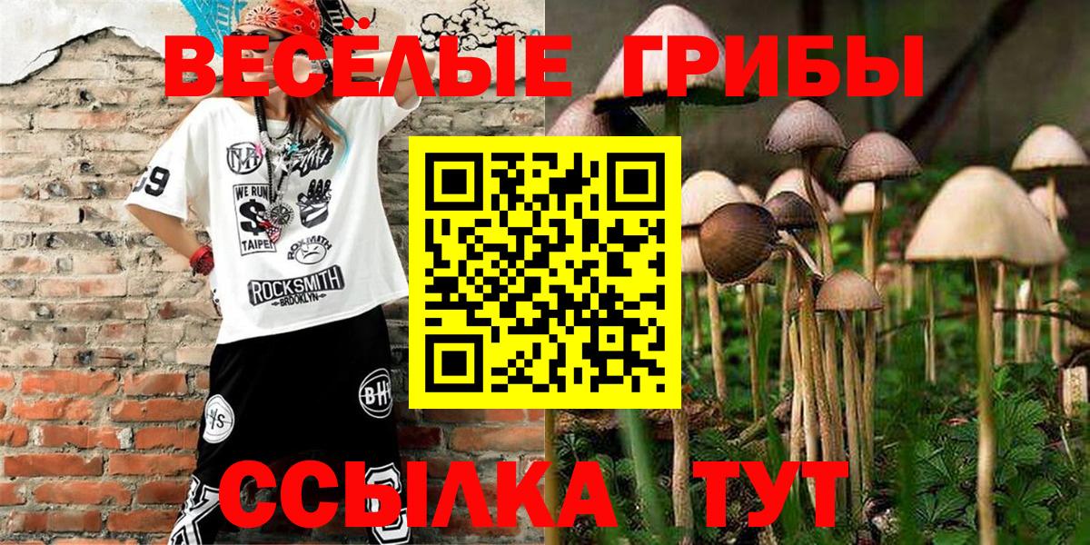 Псилоцибиновые грибы GOLDEN TEACHER  Псилоцибиновые грибы прущие грибы  Чернушка  Вход с VPN 