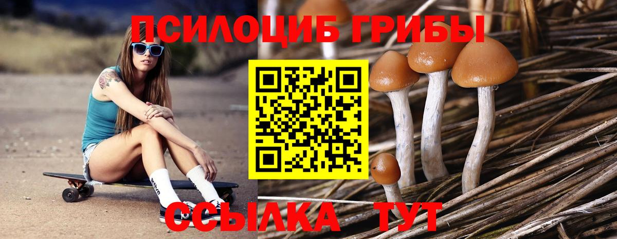 Галлюциногенные грибы мицелий Чернушка