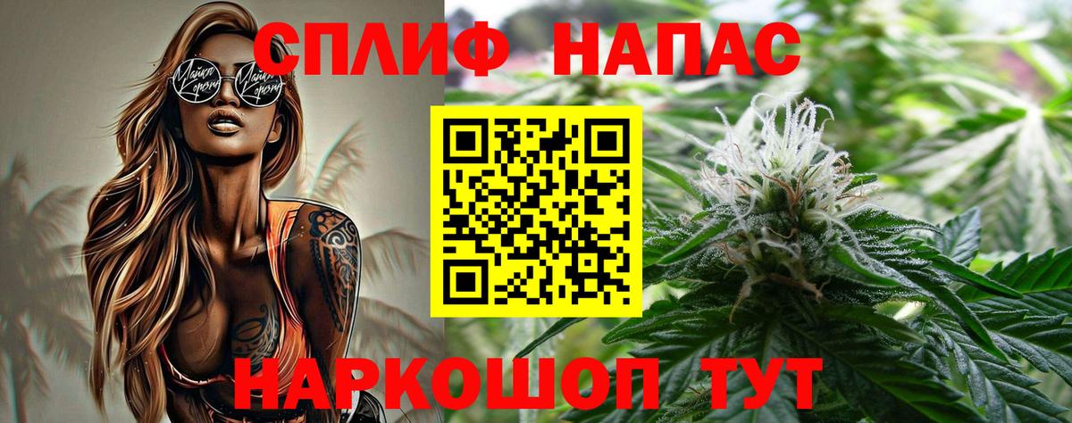 Конопля марихуана Чернушка